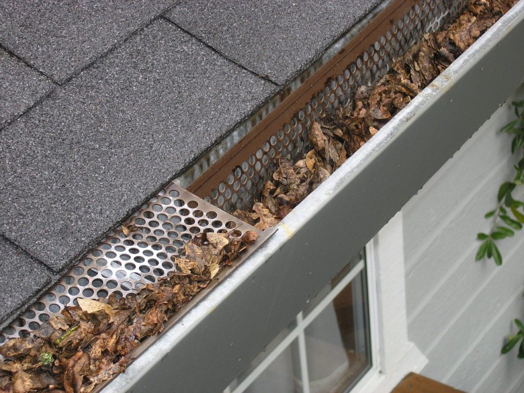 Gutter on a Home Filled With Leaves